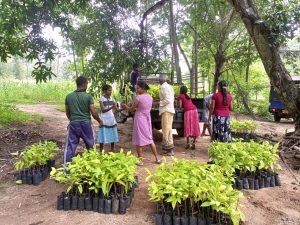 Rubber improvement of value chain & Embedded smallholders resilience project (RIVER) – the programs held from  2025.12.29 to 2026.01.04