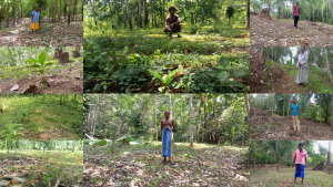 Rubber improvement of value chain & Embedded smallholders resilience project (RIVER) – the programs held from 2026.02.09 to 2026.02.15