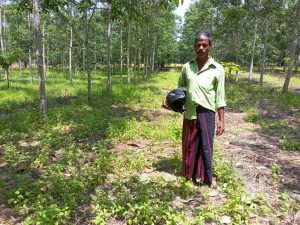 Rubber improvement of value chain & Embedded smallholders resilience project (RIVER) – the programs held from 2026.03.02 to 2026.03.08