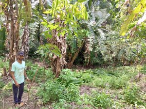 Rubber improvement of value chain & Embedded smallholders resilience project (RIVER) – the programs held from 2026.03.09 to 2026.03.15