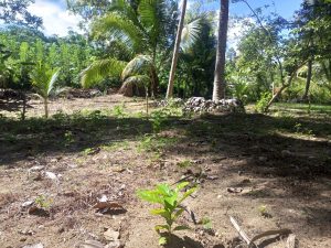 Rubber improvement of value chain & Embedded smallholders resilience project (RIVER) – the programs held from 2026.04.27 to 2026.05.03